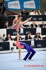 16-fiac IMG 7599